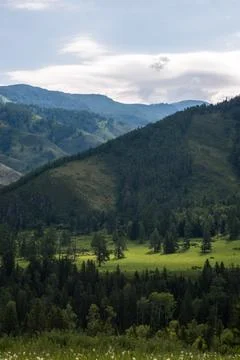 Mountains on the background-Altai Stock Photos