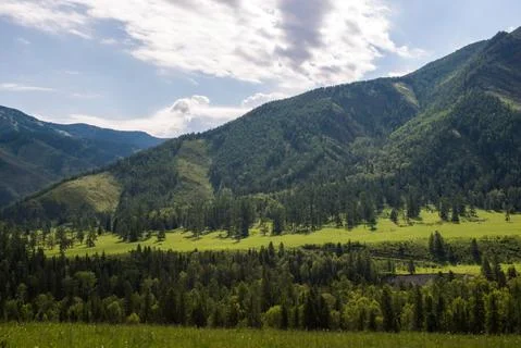 Mountains on the background-Altai Stock Photos