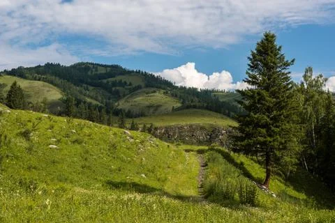 Mountains on the background-Altai Stock Photos