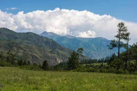 Mountains on the background-Altai Stock Photos