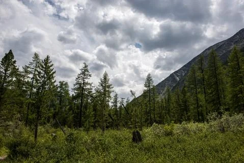 Mountains on the background-Altai Stock Photos