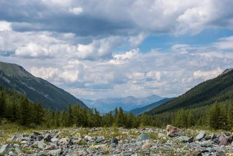 Mountains on the background-Altai Stock Photos