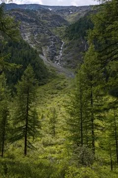 Mountains on the background-Altai Stock Photos