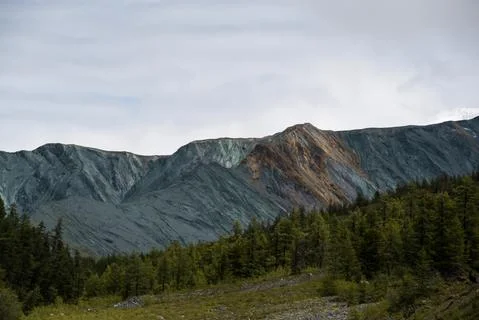 Mountains on the background-Altai Stock Photos