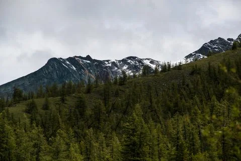 Mountains on the background-Altai Fotos Stock