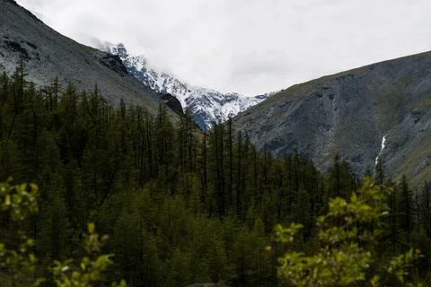 Mountains on the background-Altai Stock Photos