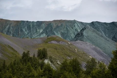 Mountains on the background-Altai Fotos Stock