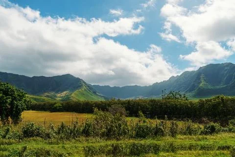 Mountains in the background, field in the foreground Stock Photos