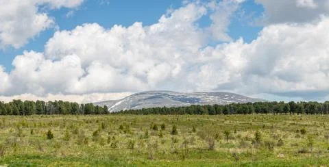 Mountains in the background of the forest beyond the meadow Stock Photos