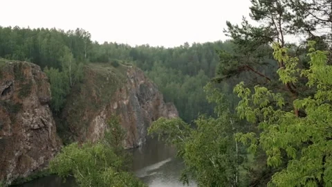 Mountains on the background of green summer pine forest Stock Footage 149345334
