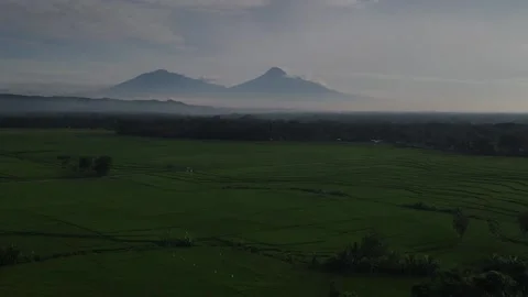 Mountains Background for Paddy Field Video stock 146569245