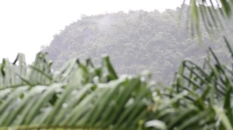 Mountains in the background of a tropical rain Stock Footage 56427450