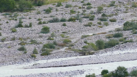 Mountains Bear River Stock Footage 127557113