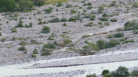 Mountains Bear River Stock Footage 132321848