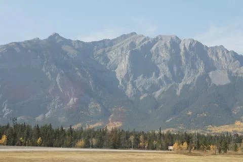 Mountains behind trees Stock Photos