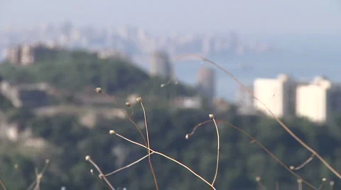 Mountains Beirut Video stock 5480026