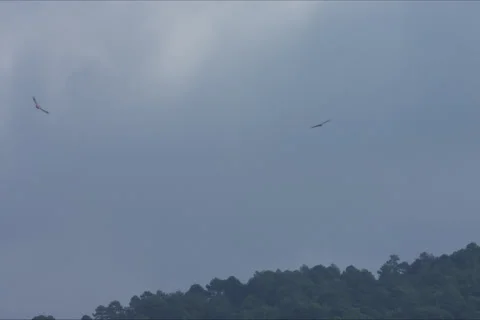 Mountains, Birds, Forest Landscape In Cuenca, Spain Stock Footage 232000625