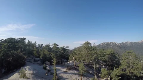 Up in the Mountains of Boulder Basin California  Stock Footage 101674000