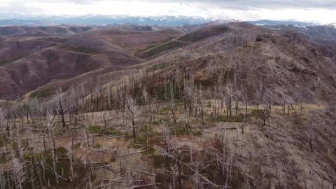 Mountains with burned forest Stock Footage 312042209