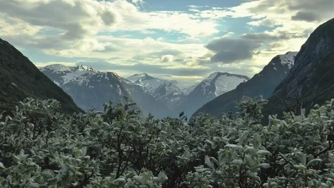 Mountains With Bushes In The Foreground Stockbeeldmateriaal 86289290