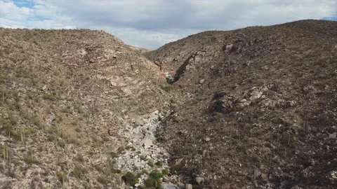 Mountains &amp; Cactus 動画素材 142841596