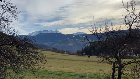 Mountains can be glimpsed between trees Stock-Footage 232043708