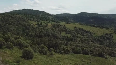 Mountains Carpathian green nature Stock Footage
