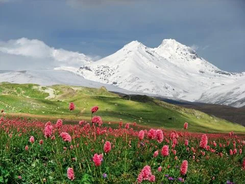 Mountains of the caucasus. Stock Photos