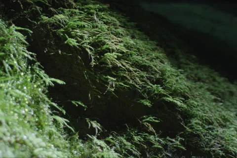 Mountains, Cave And Forest Landscape In Cuenca, Spain Stock Footage 231872453