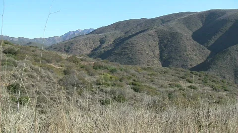 Mountains In Chaparral Stock Footage