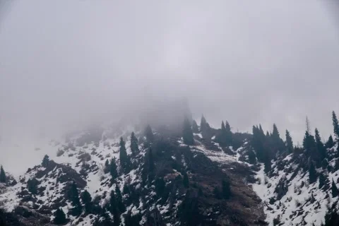 Mountains, clouds and trees (TimeLapse) Stock Footage 240532618