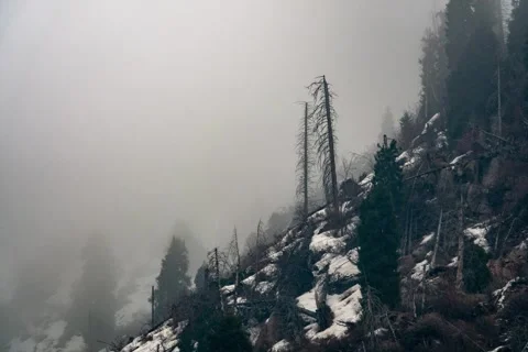 Mountains, clouds and trees (TimeLapse) Stock Footage 240532679