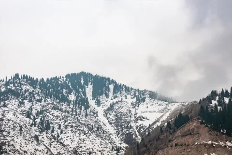 Mountains, clouds and trees (TimeLapse) Stock Footage 240532690