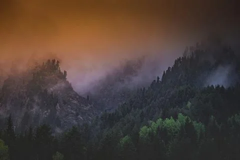 Mountains in clouds covered with forest at sunset orange sky close up Stock Photos