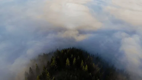 Mountains In Clouds. Forest Mountain Peak Under Cloud Stock Footage 100429736