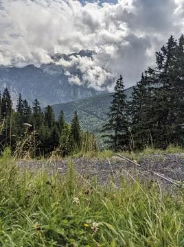 Mountains in the clouds with green trees Stock Photos