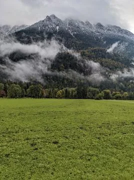 Mountains in the clouds with green trees Stock Photos