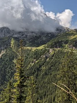 Mountains in the clouds with green trees Stock Photos
