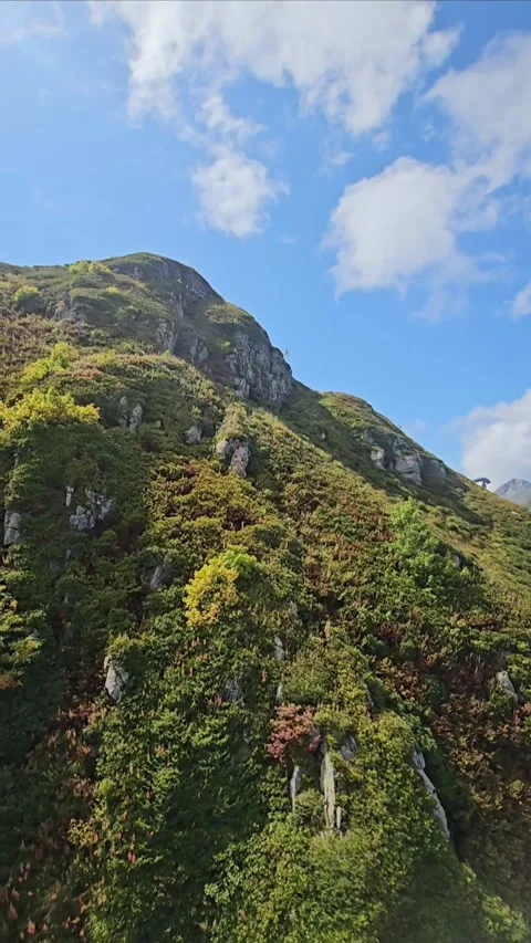 Mountains in the clouds, Krasnaya Polyana, Sochi Stock Footage 314371389