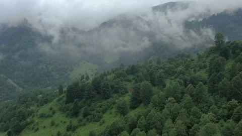 Mountains in clouds, View from drone above clouds of mountain village Stock Footage 237611907