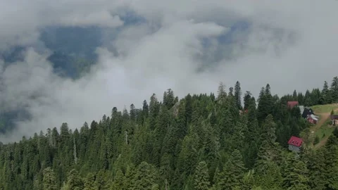 Mountains in clouds, View from drone above clouds of mountain village 库存影片 237612382
