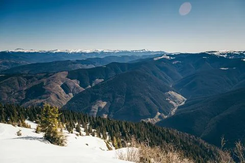 Mountains, coniferous forest in the snow, deforestation, spring Stock Photos