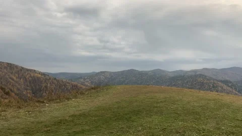 Mountains covered with forest Video stock 145050472