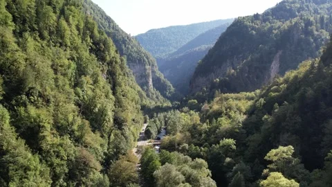 Mountains Covered With Forest Summer Drone 库存影片 255907697