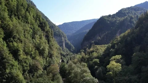 Mountains Covered With Forest Summer Drone Video stock 255907885