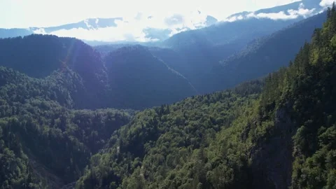 Mountains Covered With Forest Summer Drone 库存影片 255908004