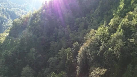 Mountains Covered With Forest Summer Drone 库存影片 255908500