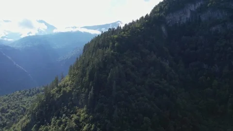 Mountains Covered With Forest Summer Drone 库存影片 255956150