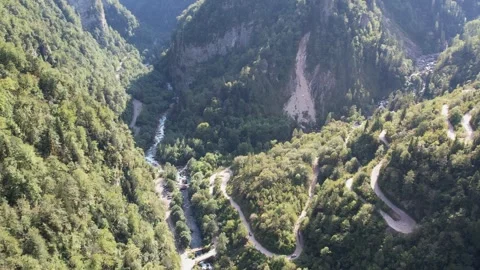 Mountains Covered With Forest Summer Drone 库存影片 255956962