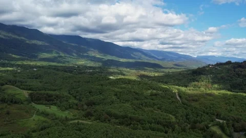 Mountains Covered With Forest Summer Drone 库存影片 255957169